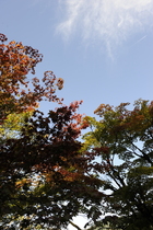 1110Ҥι