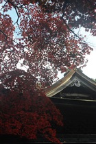 11��13����������Ҥι���